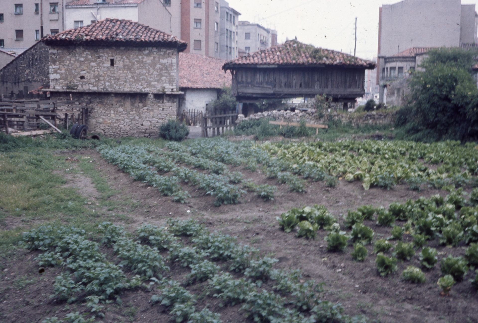El Llano. 1976