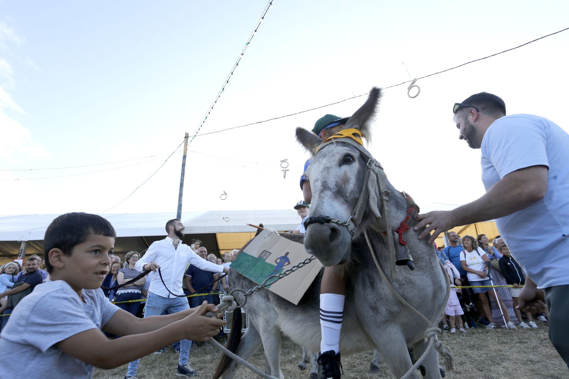 Desfile Folclórico de Burros en Pañeda