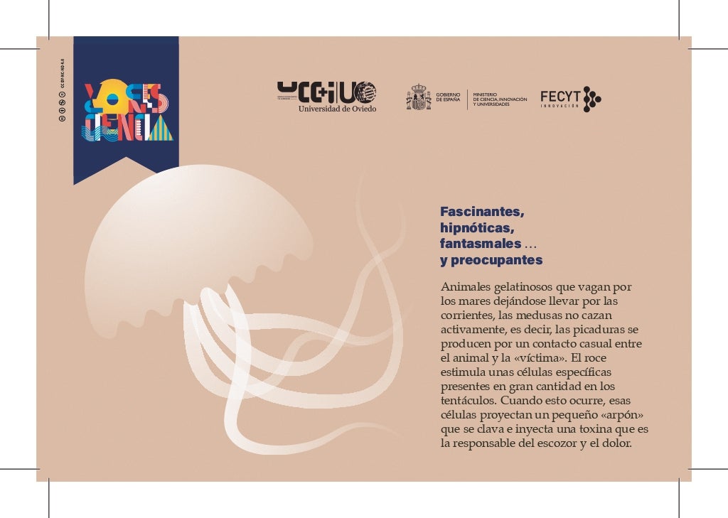 Imagen de Galeria