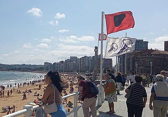 Bandera roja por presencia de carabelas portuguesas en la playa de San Lorenzo de Gijón.