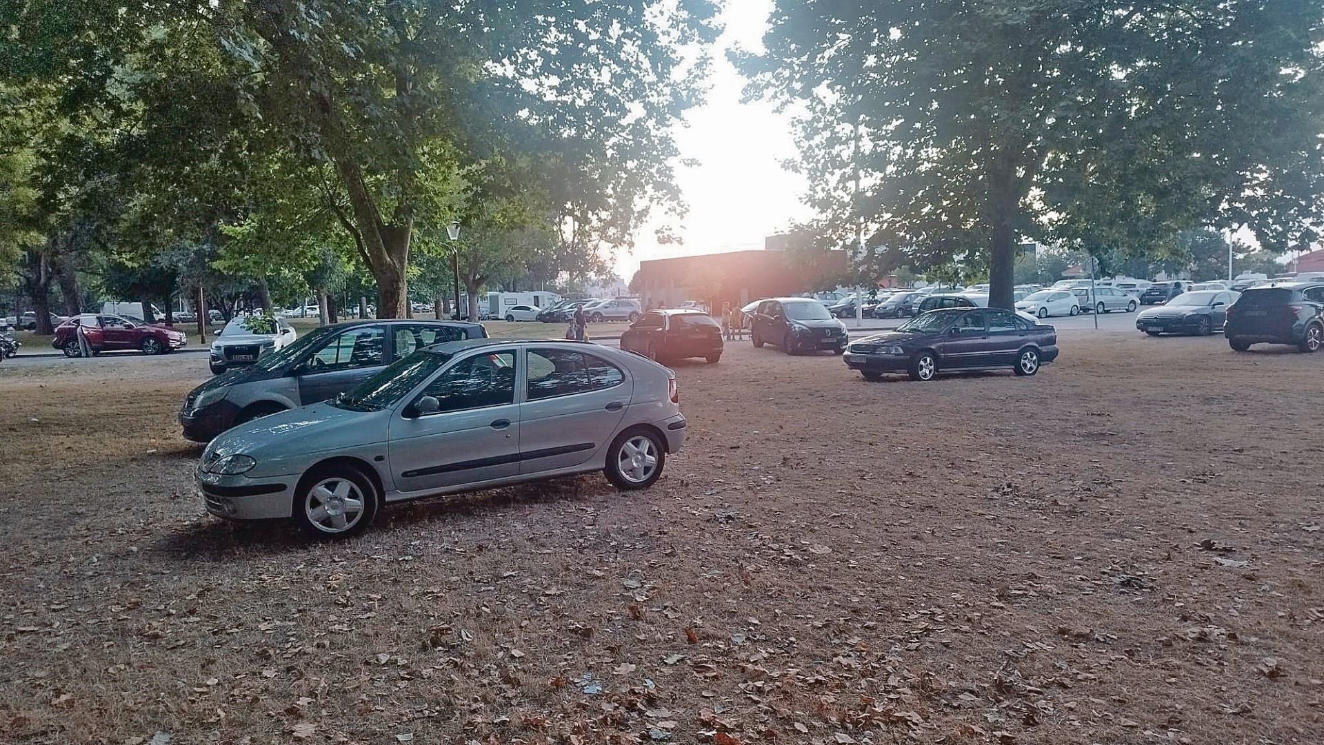 Algunos conductores optaron por aparcar sus vehículos el domingo en las zonas verdes del parque de los Hermanos Castro y algunos fueron sancionados.