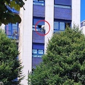 El perro atrapado en la ventana de un edificio de Gijón.