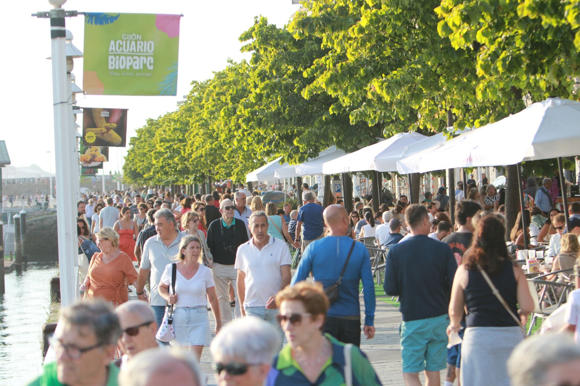El Paseo Gastro de Gijón arranca con sus terrazas de Begoña y Cimavilla a tope