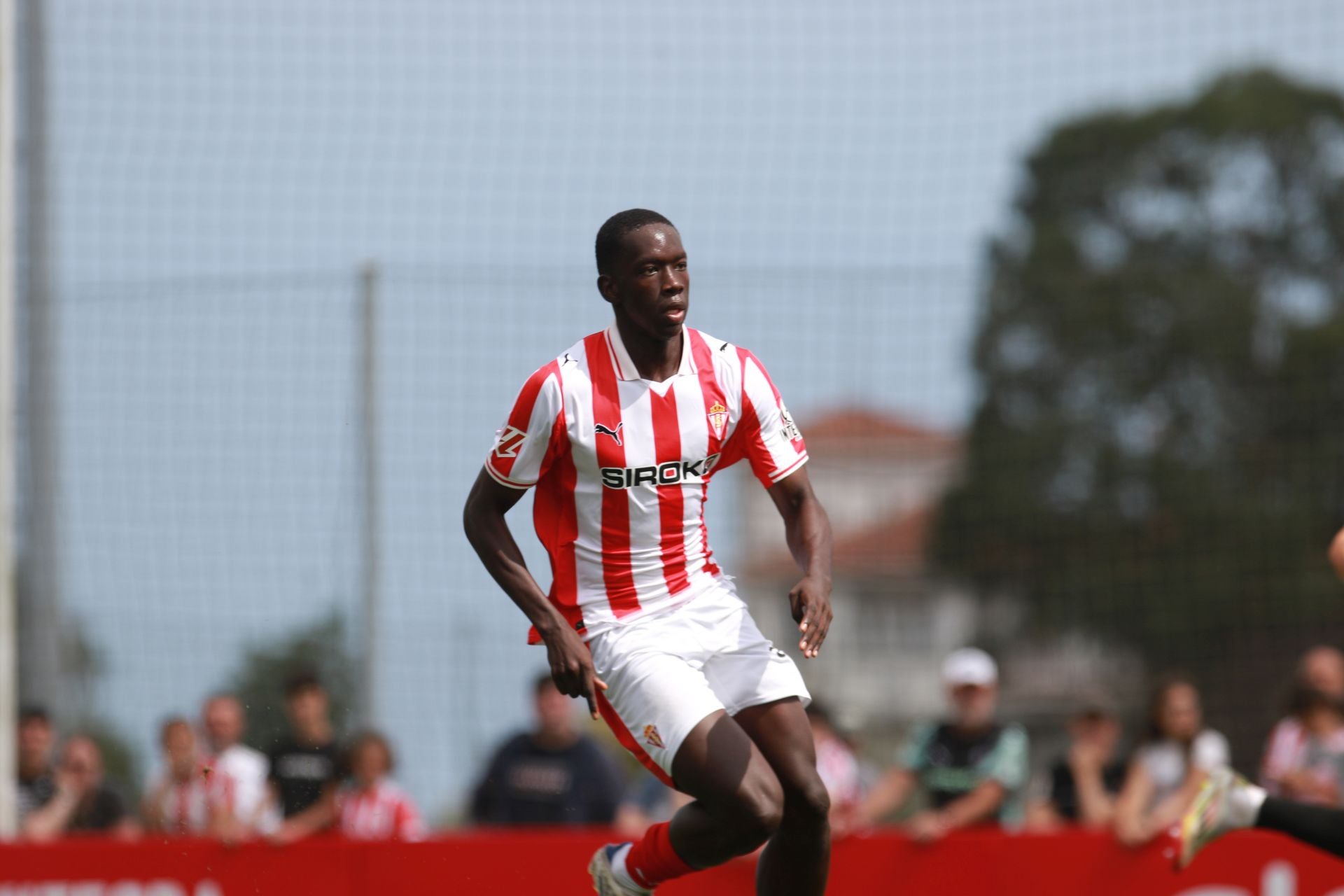 Las mejores jugadas del Sporting de Gijón - Cultural Leonesa