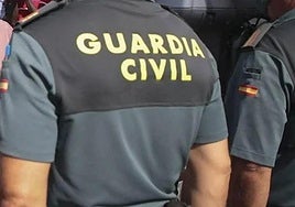 La Guardia Civil ha abierto diligencias tras el suceso.