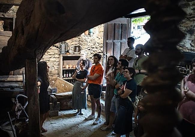Visita al Museo del Vino.