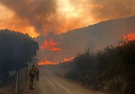 Imagen de los incendios de León.