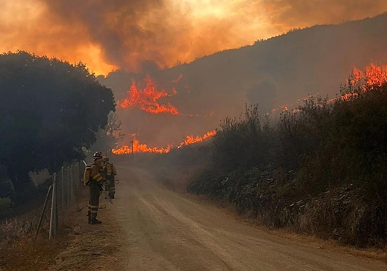Imagen de los incendios de León.