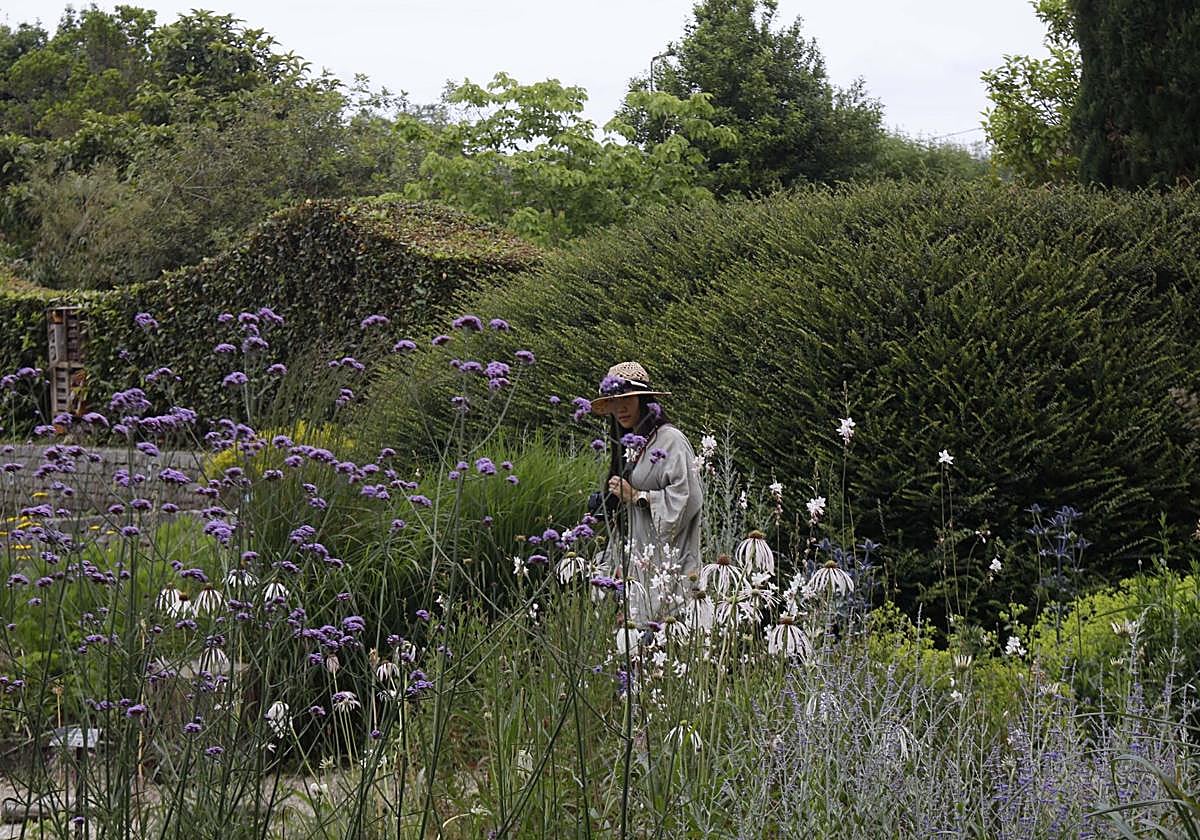Una mujer pasea por el Jardín Botánico Atlántico de Gijón.