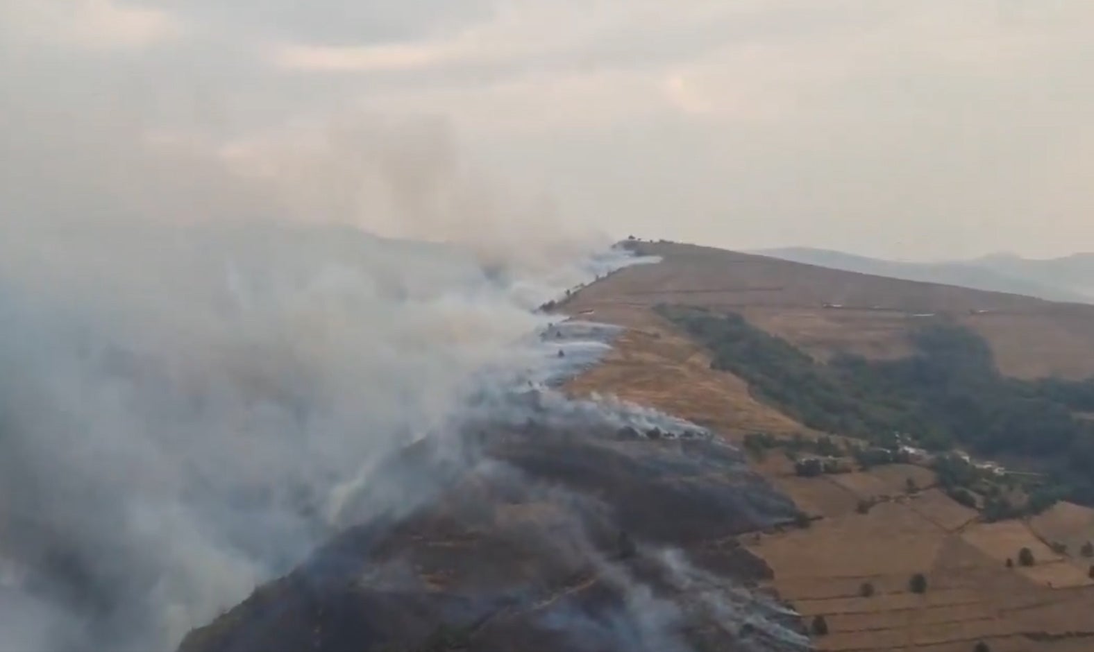 El fuego amenaza a casas y viñedos en Cangas del Narcea
