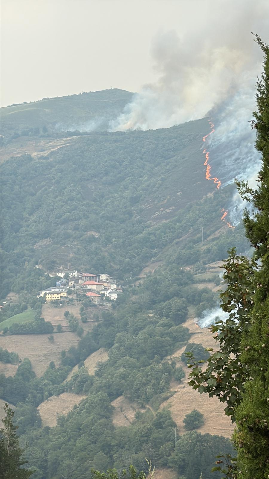 El fuego amenaza a casas y viñedos en Cangas del Narcea
