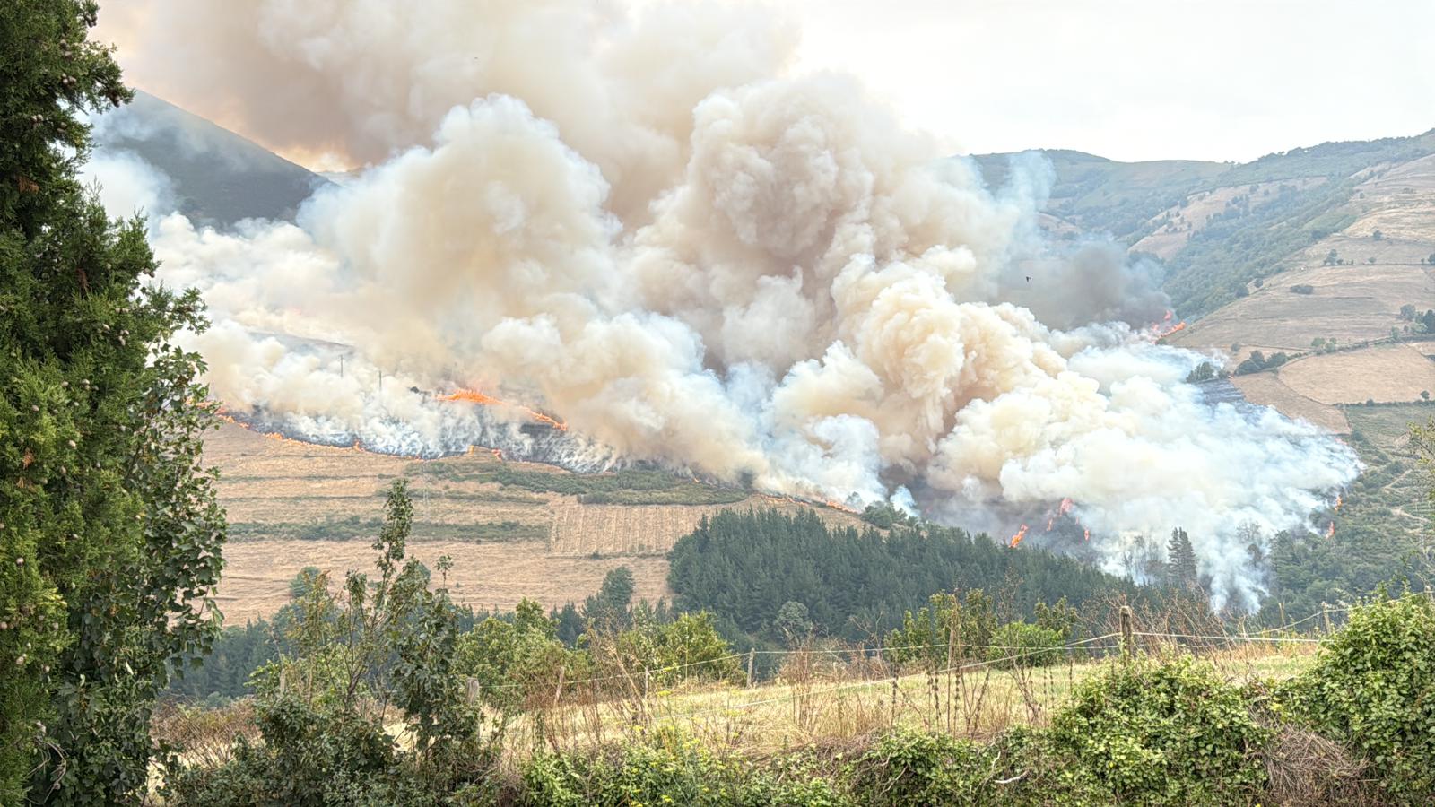 El fuego amenaza a casas y viñedos en Cangas del Narcea