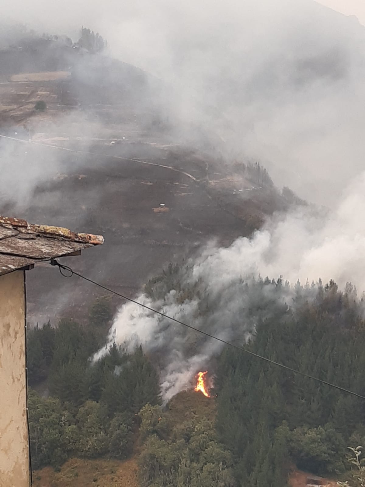 El fuego amenaza a casas y viñedos en Cangas del Narcea
