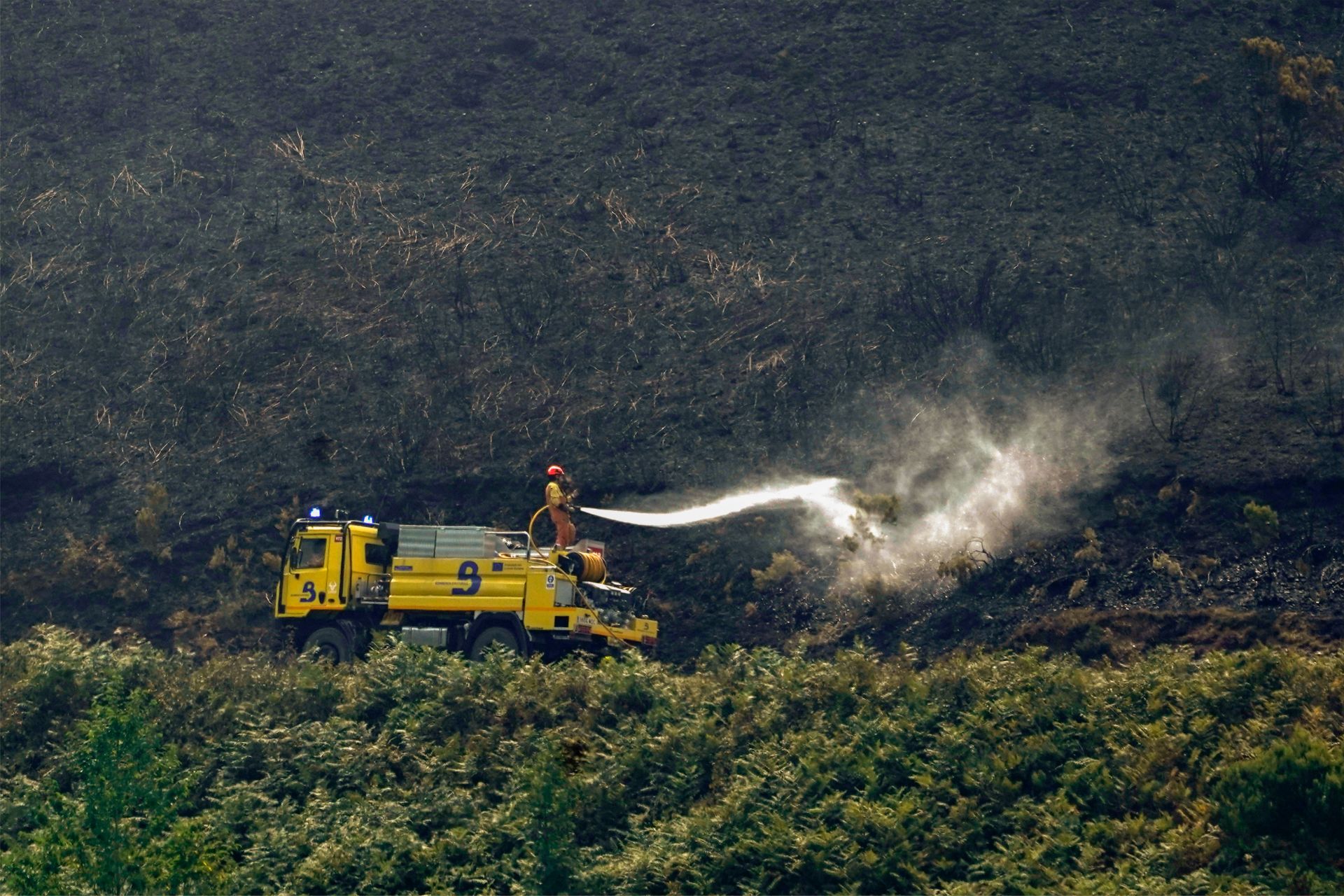 Las consecuencias de los incendios forestales en Cangas del Narcea