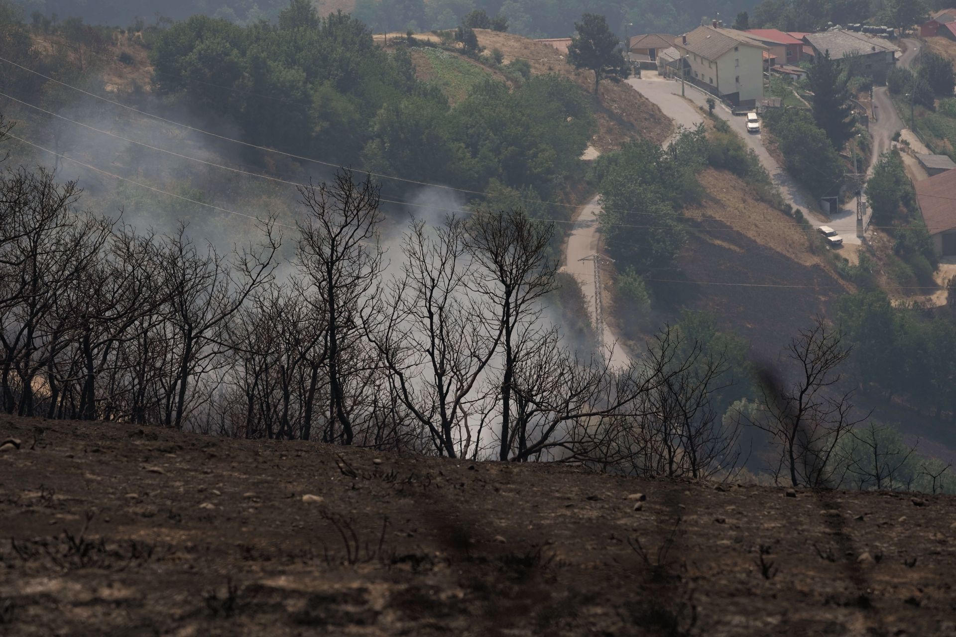 Las consecuencias de los incendios forestales en Cangas del Narcea