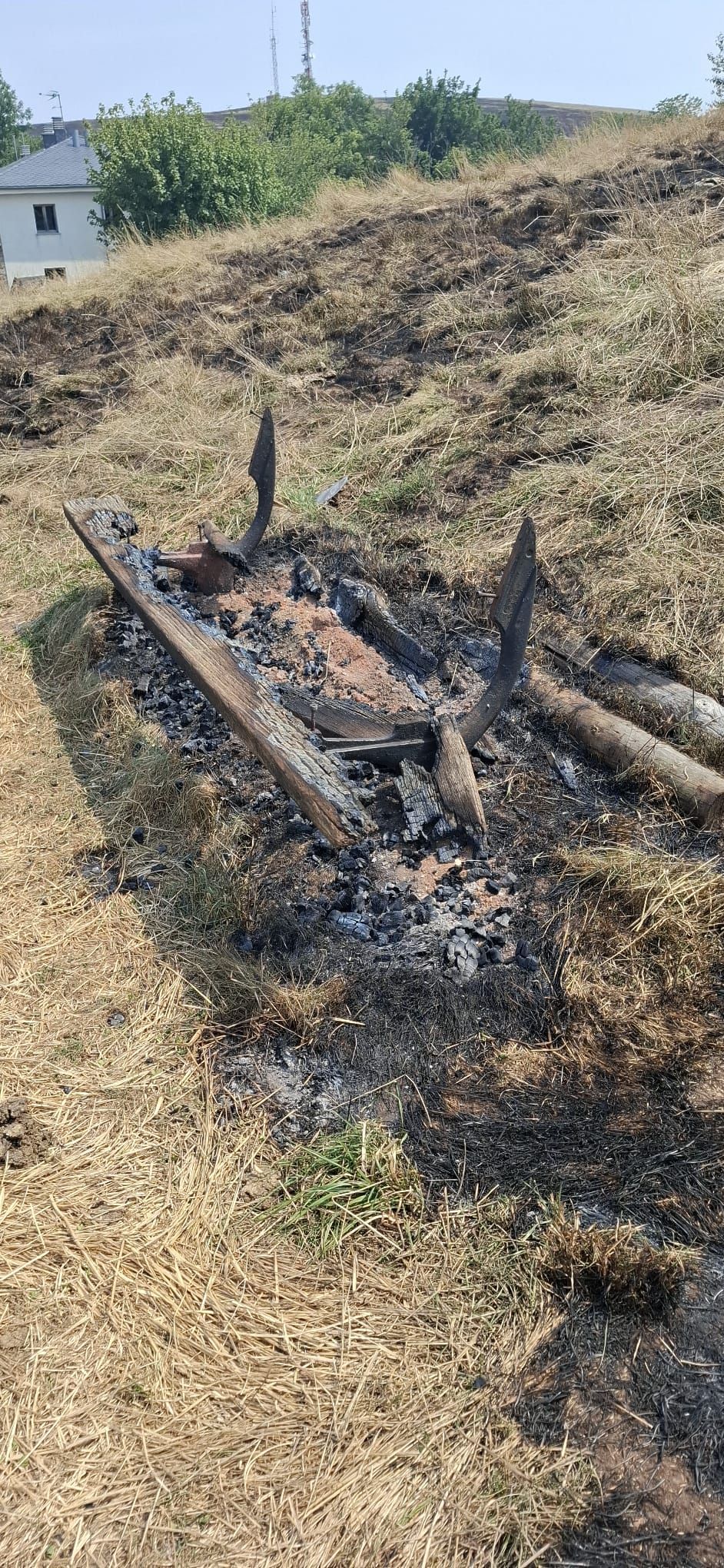 Las consecuencias de los incendios forestales en Cangas del Narcea