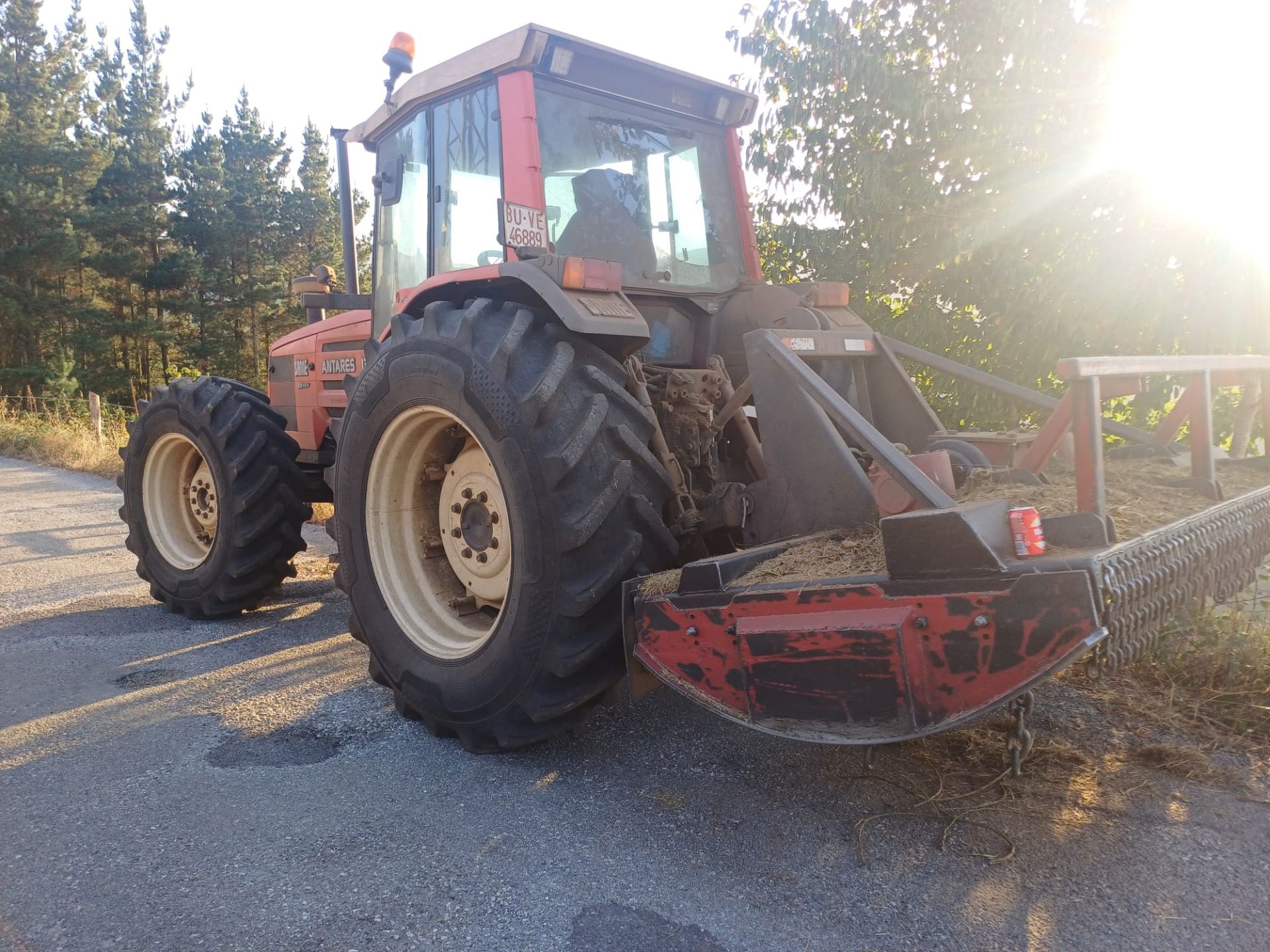 Las consecuencias de los incendios forestales en Cangas del Narcea