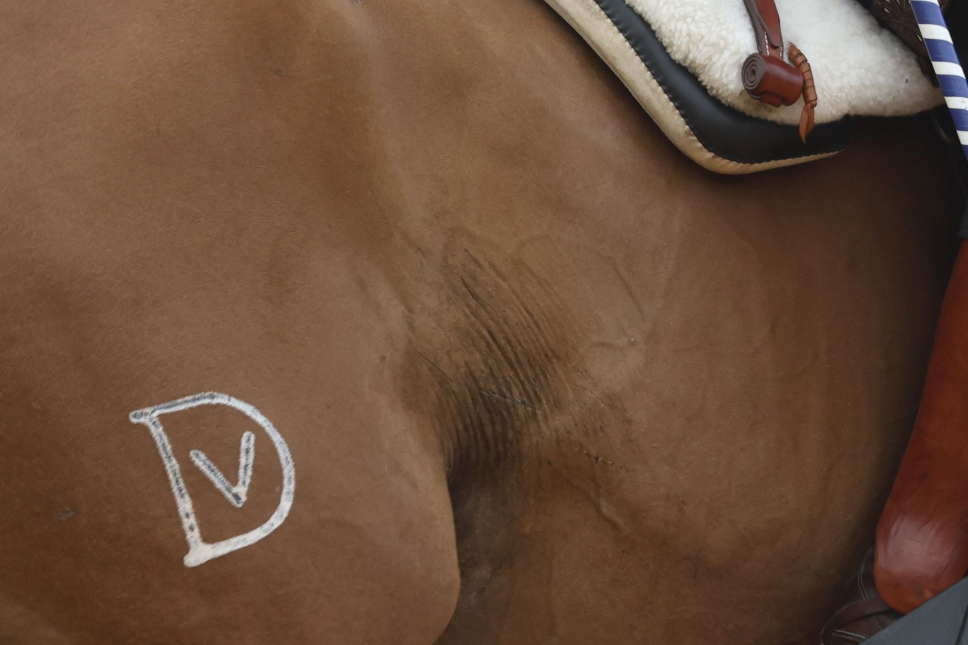 Tarde de rejones en la Feria taurina de Begoña en Gijón
