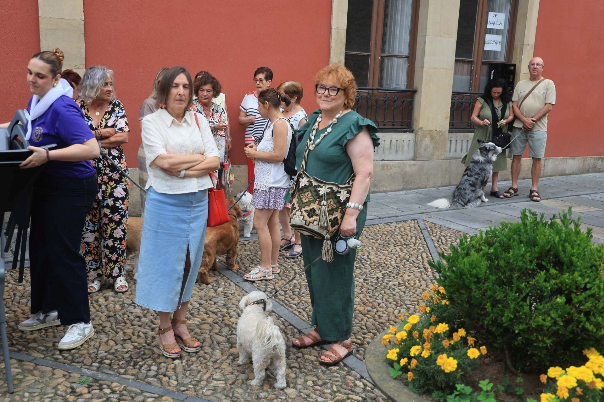 Los perros de Avilés vuelven a Galiana por San Roque