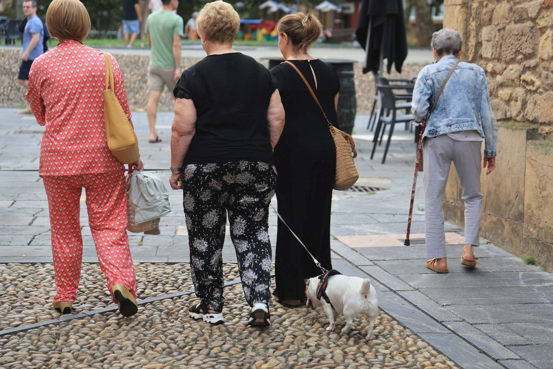 Los perros de Avilés vuelven a Galiana por San Roque