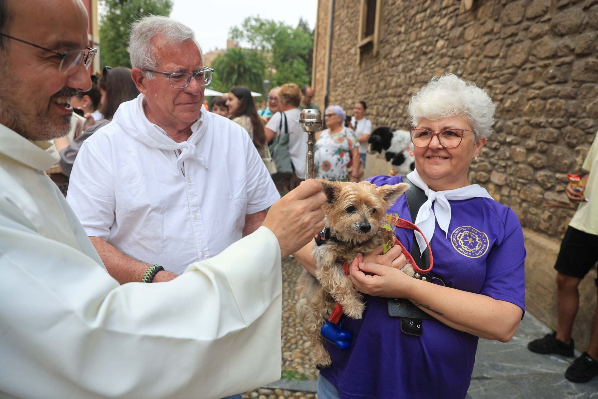 Los perros de Avilés vuelven a Galiana por San Roque
