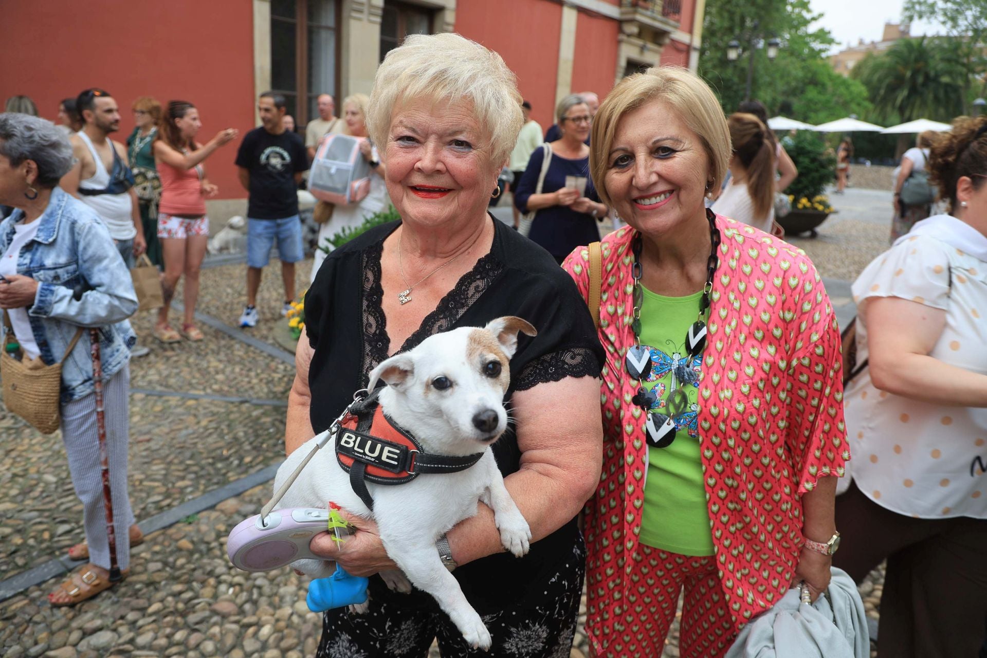 Los perros de Avilés vuelven a Galiana por San Roque