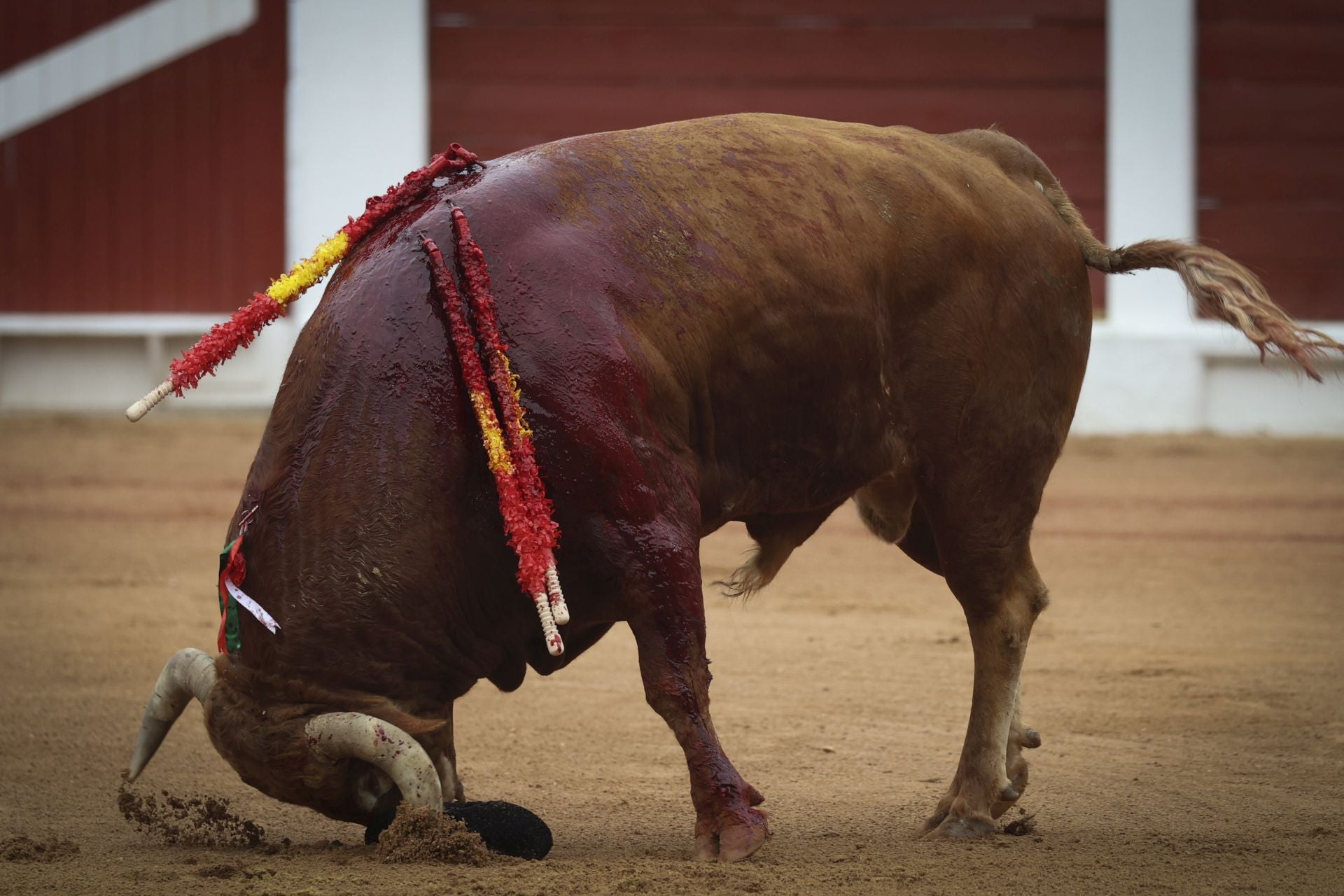La cuarta de la Feria de Begoña de Gijón, con Fortes, Ortega y Roca Rey