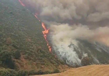 Todos los esfuerzos en los Picos de Europa para evitar que las llamas entren en el Parque