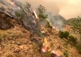 Incendio de Genestoso, en Cangas del Narcea.