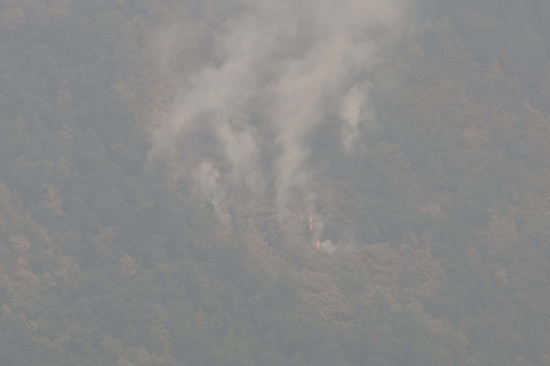 Incendio en Genestoso (Cangas del Narcea)