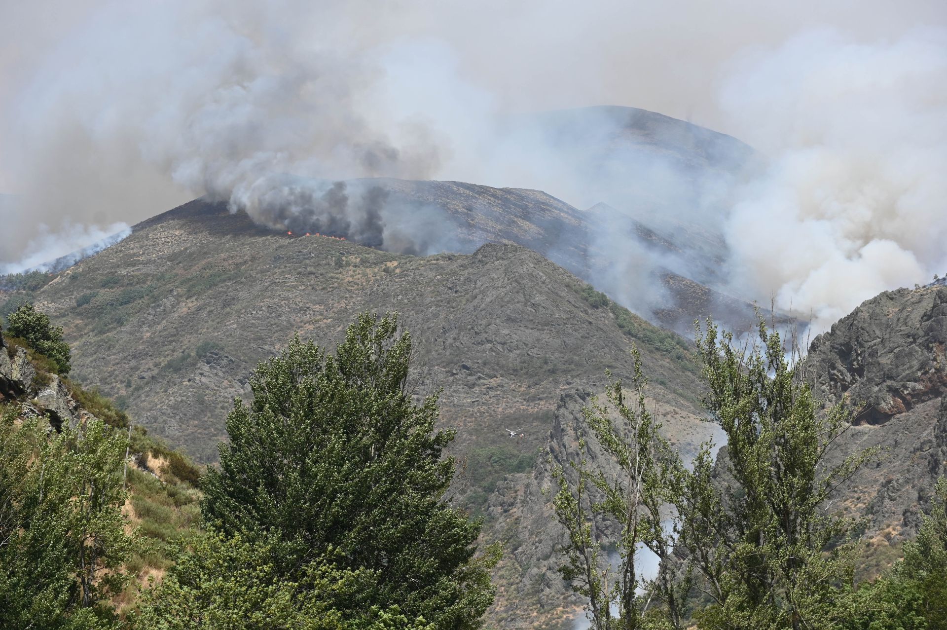 Incendio en la vertiente leonesa de los Picos de Europa
