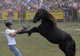 El popular caballo asturcón 'Indomable', en una pasada edición de la fiesta en Espineres.