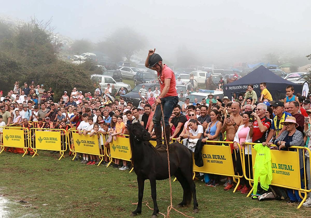 Fiesta del Asturcón en Piloña