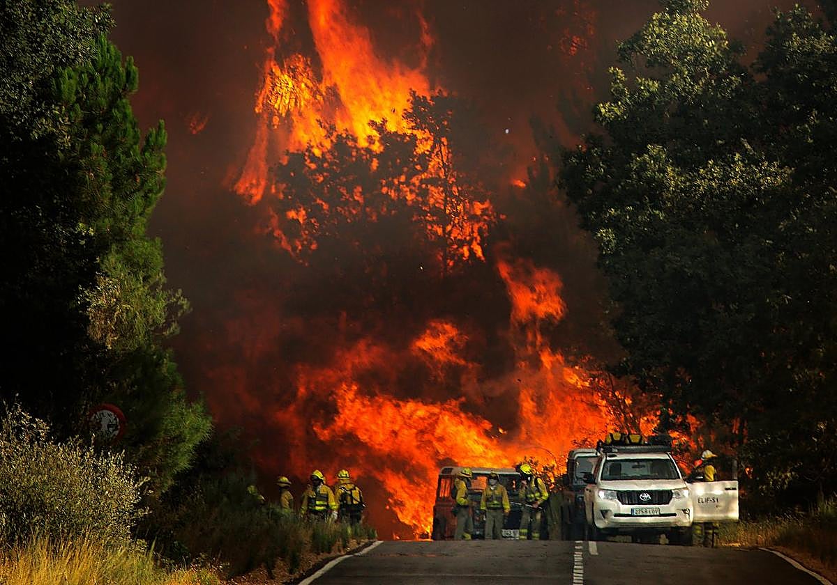 Un grupo de bomberos, delantede uno de los frentes de un cendio forestal de la última oleada.