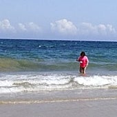 Imagen - «En el 85% de las playas la calidad del agua es excepcional y en el 9,5% es buena. Por lo general, los problemas que se detectan son episodios puntuales»