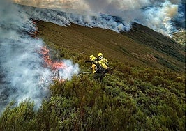 Brigadas de Tineo trabajan en el incendio forestal de Degaña.