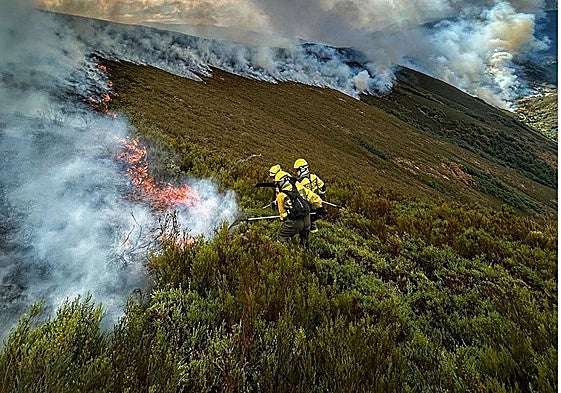 Brigadas de Tineo trabajan en el incendio forestal de Degaña.