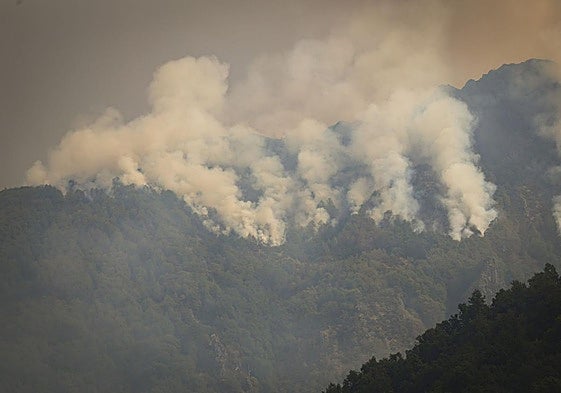 El viento reaviva las llamas en Degaña