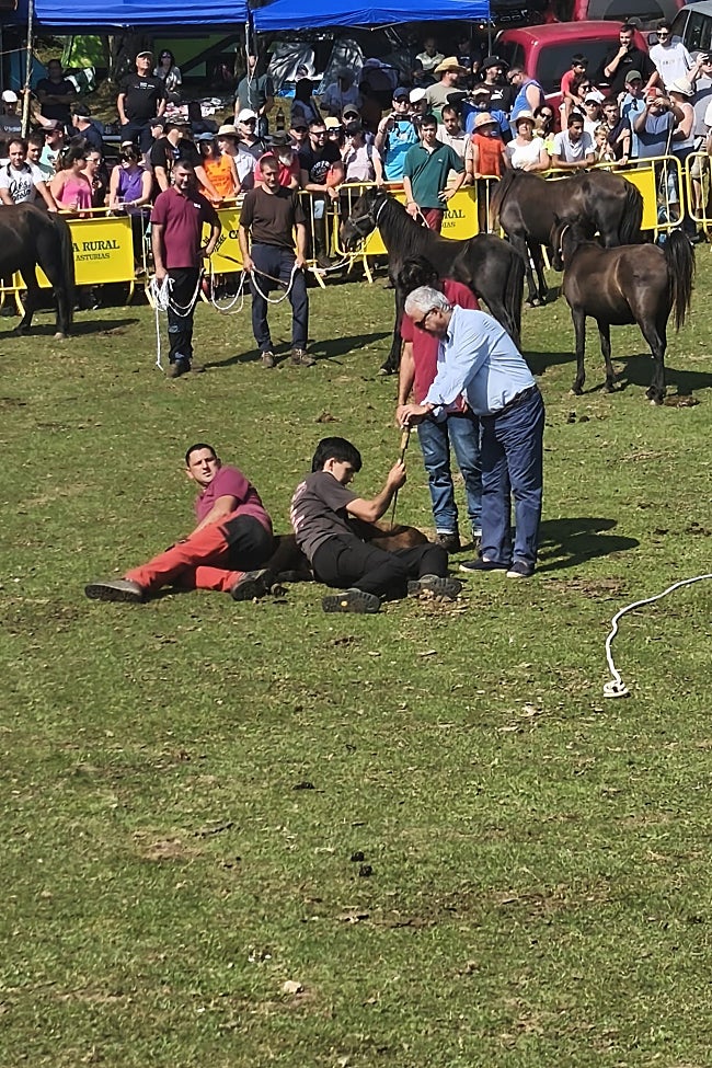 Jesús María Chamorro marcó a la potrilla 'Chisca'.