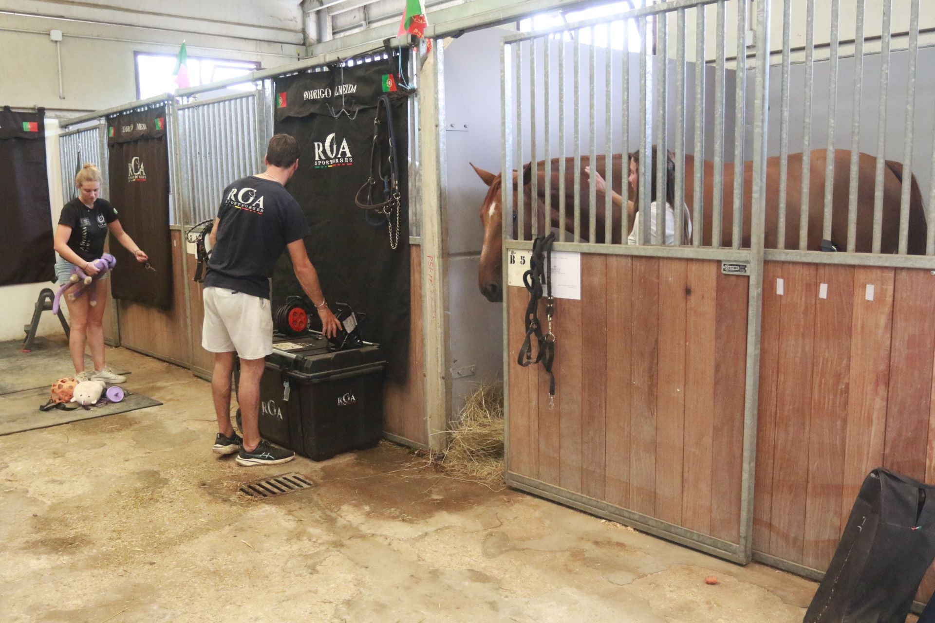 Las Mestas se pone a punto para que arranque su Concurso de Saltos Internacional