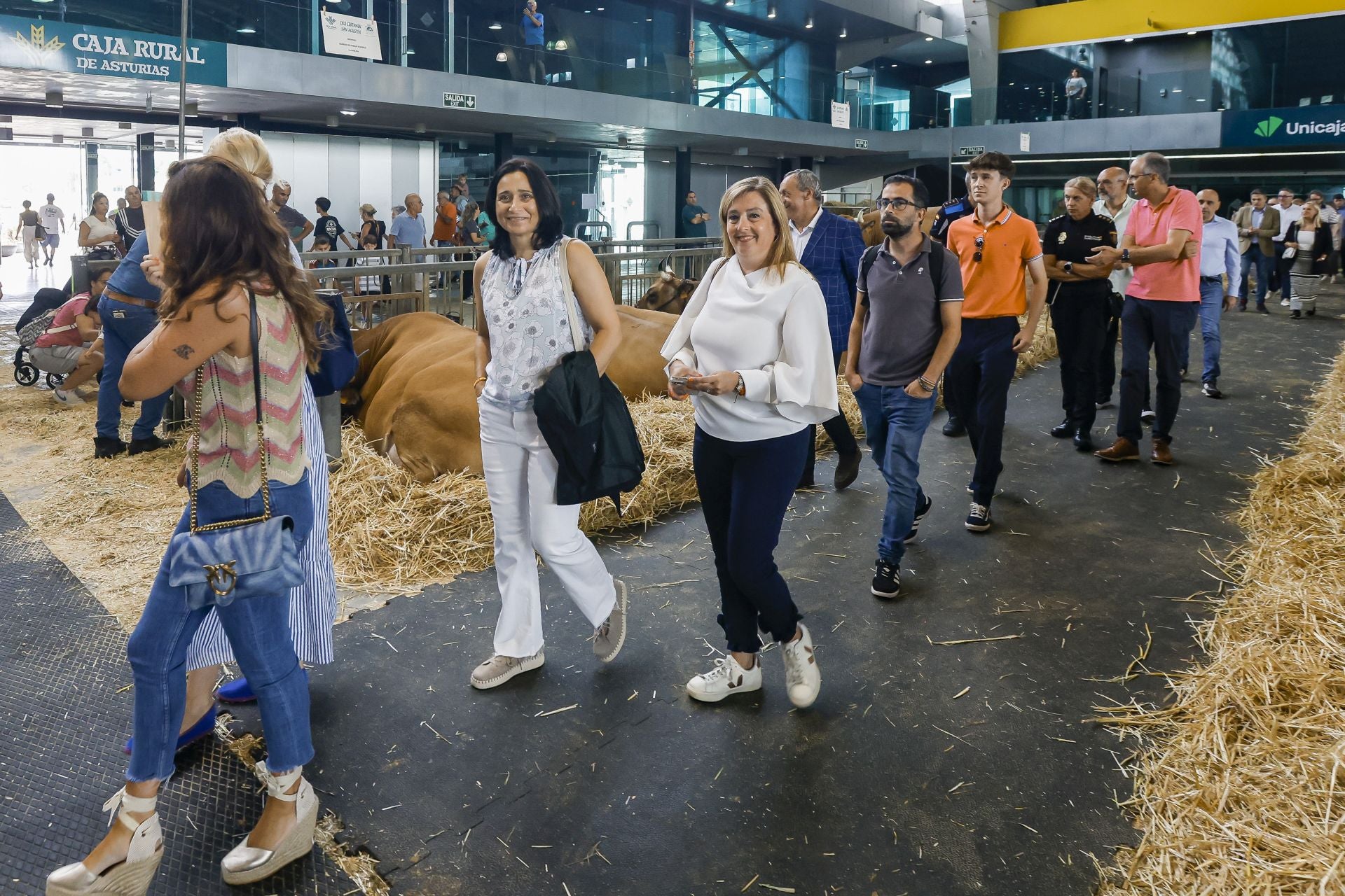 Avilés presume de tradición en el Certamen del Ganado: vacas, asturcones, oveyas xaldas...