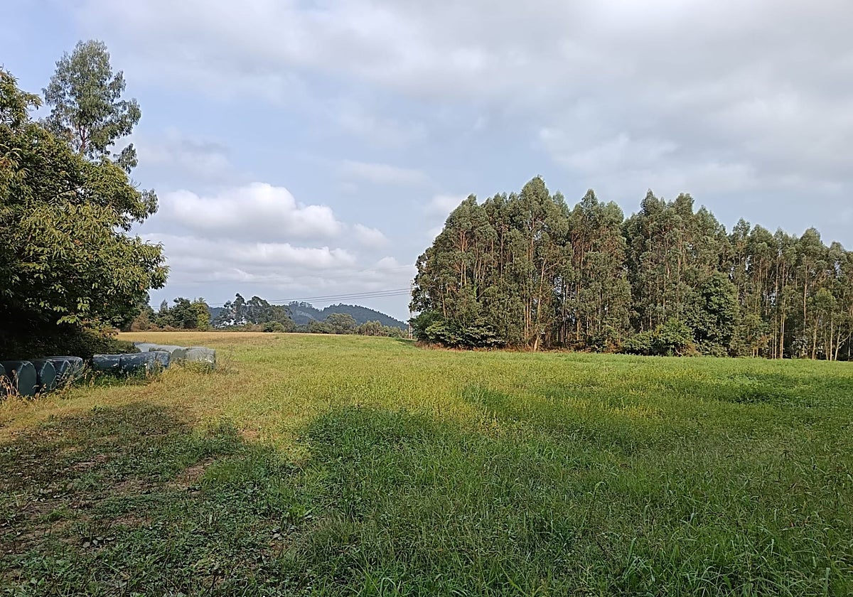 Parcela en la que está prevista la subestación.