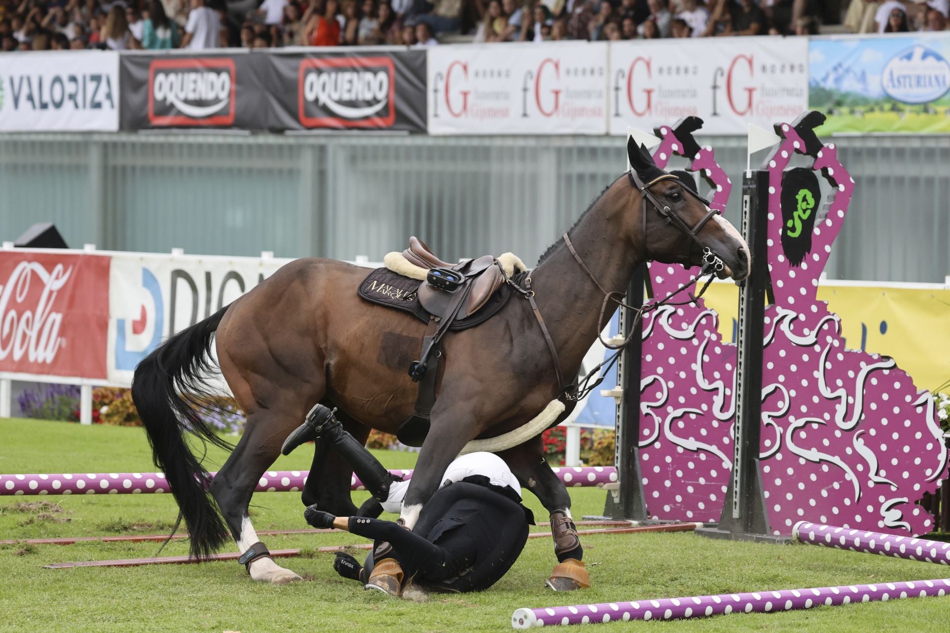 Las fotos que deja el primer día del Hípico en Gijón