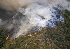 ¿Qué significa que el Consejo de Ministros haya incluido a Asturias en su declaración de zonas catastróficas por incendios?