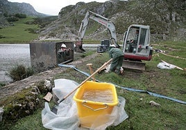 Obras de refuerzo del dique del lago Ercina llevadas a cabo en 2009.