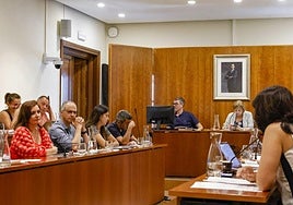 Un momento del pleno celebrado ayer durante cerca de cinco horas y media.