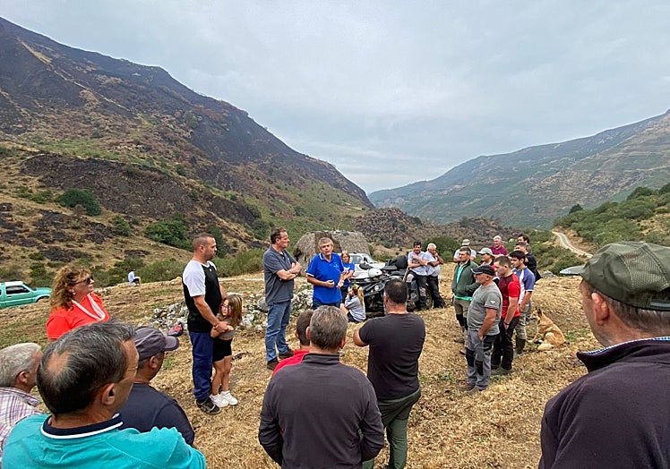 Los ganaderos, en Braña Viecha, escuchan a Belarmino Fernández y Marcelino Marcos.