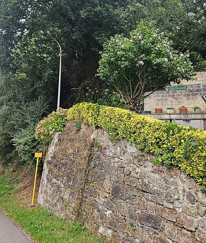 Imagen secundaria 2 - Explanada que se podría asfaltar, zona para la que piden mejor iluminación y árbol en riesgo de cadída.