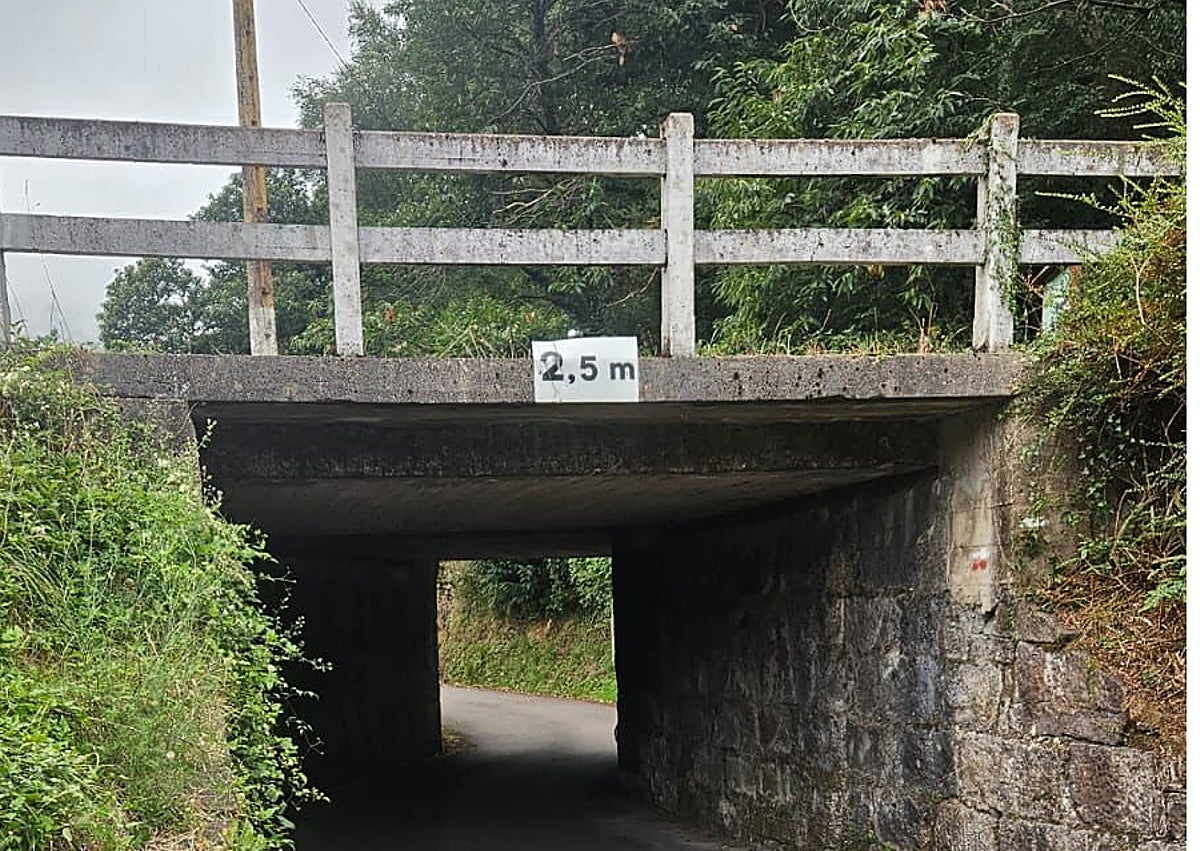 Imagen secundaria 1 - Explanada que se podría asfaltar, zona para la que piden mejor iluminación y árbol en riesgo de cadída.