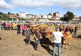 Los animales galardonados antes de recoger sus premios.